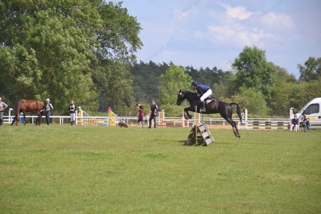 reitertag 2013 199